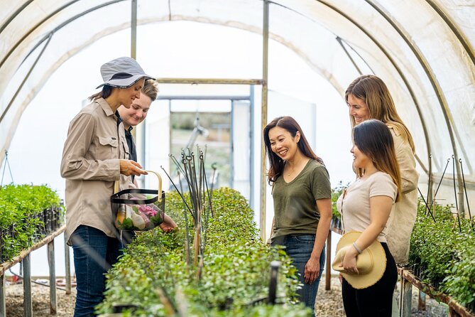 Jurlique Farm Tour - Jurlique Farm Tour in the Adelaide Hills: 90 minutes with a Jurlique Ambassador