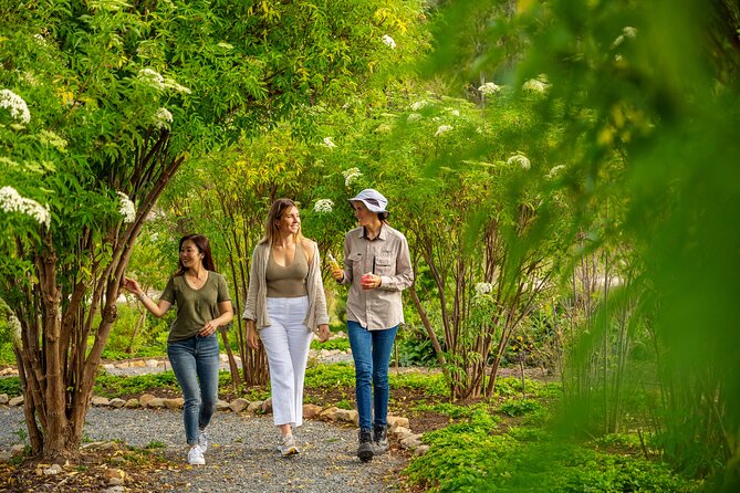 Jurlique Farm Tour - Practical tips for your day in Biggs Flat