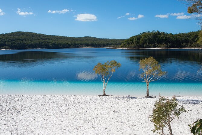 K'gari (Fraser Island) All Inclusive Day Tour - Getting to K’gari: ferry, pickup, and why early matters