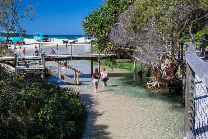 K'gari (Fraser Island) All Inclusive Day Tour - Lake McKenzie: the classic freshwater reset