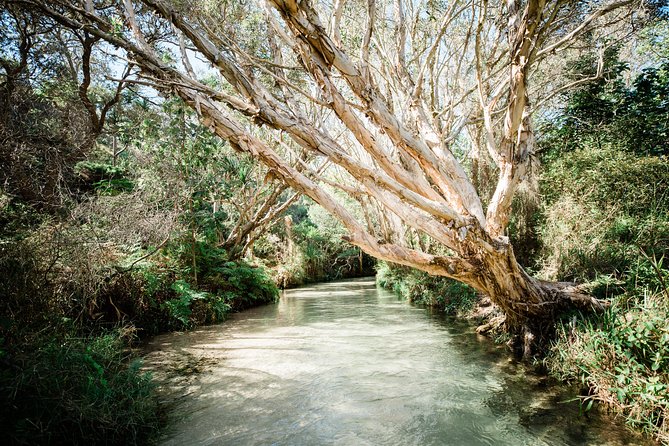 K'gari (Fraser Island) All Inclusive Day Tour - Maheno shipwreck: the stop for that unmistakable rusted icon
