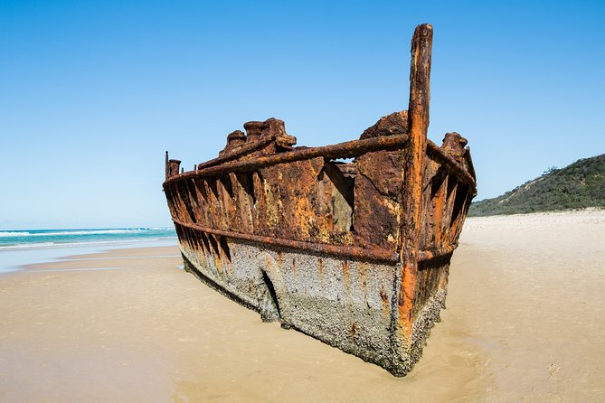 K'gari (Fraser Island) All Inclusive Day Tour - Wanggoolba Creek and Eli Creek: freshwater fun and float logistics