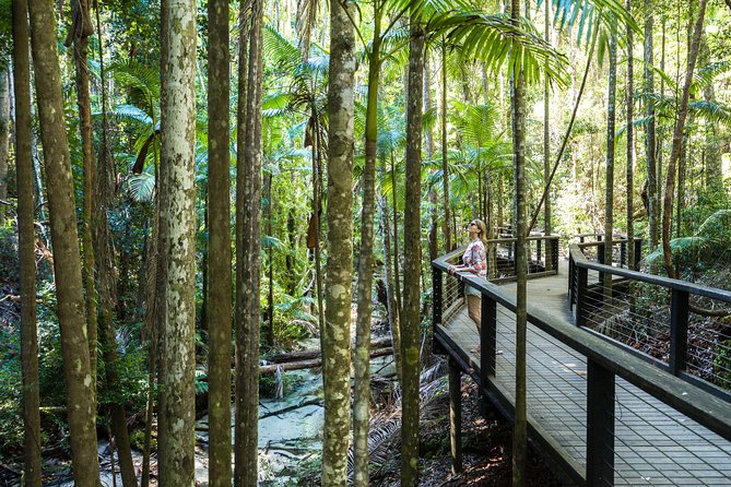 K'gari (Fraser Island) All Inclusive Day Tour - The 4WD ride reality: comfort, bumpy sections, and what to pack