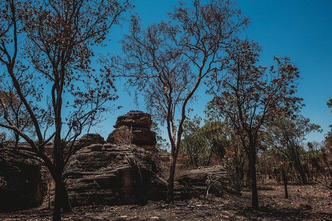 Kakadu Day Tour from Darwin with Offroad Dreaming - Stop 2: the Guluyambi cultural cruise on the East Alligator River