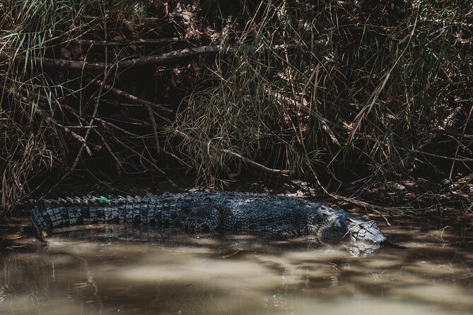 Kakadu Day Tour from Darwin with Offroad Dreaming - Lunch, snacks, and what to bring so you stay comfortable