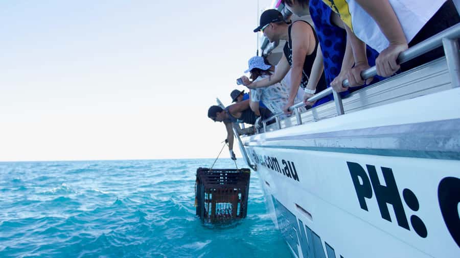 Kalbarri Crayfish Catch & Keep Tour - FAQ