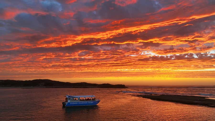 Kalbarri: Murchison River Wilderness Wildlife Cruise - Kalbarri’s Murchison Cruise, why it feels worth the time