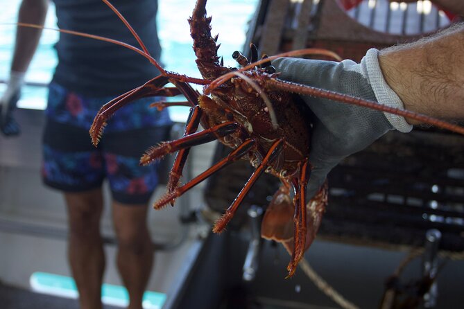 Kalbarri Rock lobster Pot Pull Tour in Kalbarri - What You See on the Water: River Mouth to Open Sea