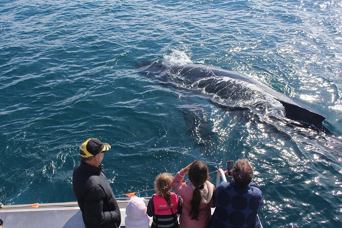 Kalbarri Whale Watching Tour - Where Kalbarri Whale Watching Fits in Your Western Australia Trip