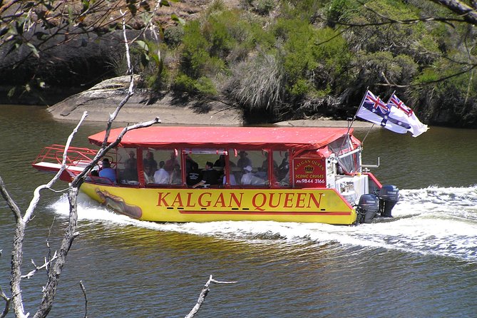 Kalgan Queen Scenic Cruises a four hour sheltered water wildlife tour daily fun. - Key highlights at a glance