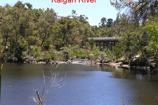 Kalgan Queen Scenic Cruises a four hour sheltered water wildlife tour daily fun. - Raptor feeding and pelican encounters: how the timing works