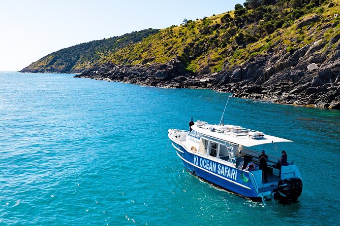 Kangaroo Island 75-Minute Coastal Safari - Why this 75-minute coastal safari fits almost any day