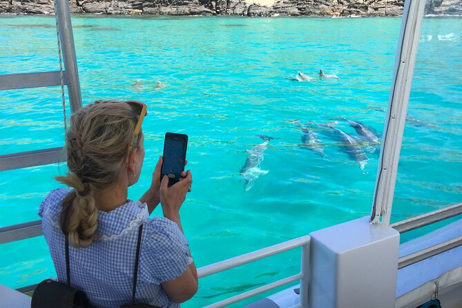 Kangaroo Island 75-Minute Coastal Safari - Wildlife along the coast: dolphins, seals, and eagles