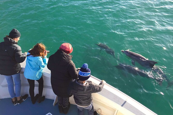 Kangaroo Island 75-Minute Coastal Safari - The actual route experience: what your 75 minutes feels like