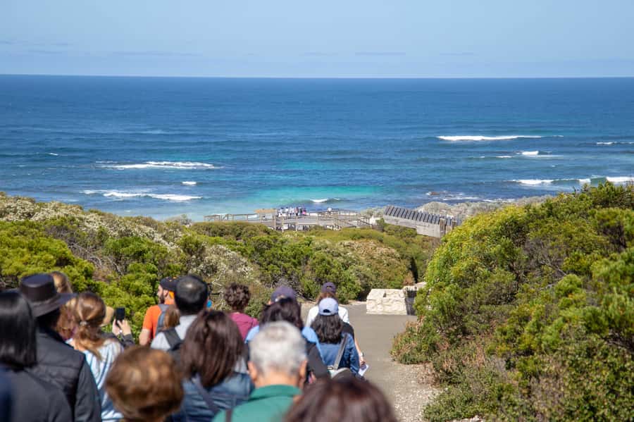 Kangaroo Island Full Day Experience by Ferry Including Lunch - Remarkable Rocks: When the Coast Looks Like Sculpture