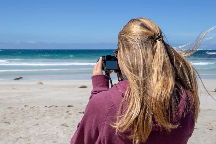Kangaroo Island Full Day Experience by Ferry Including Lunch - Lunch in the Bush: A Two-Course Reset