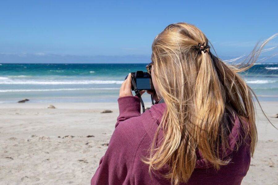 Kangaroo Island Full Day Experience by Ferry Including Lunch - Price and Value: Why This Tour Costs What It Costs