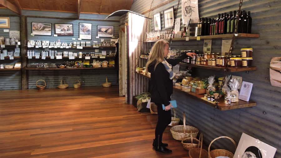 Kangaroo Island: Half-Day Tour Guided Coach Tour - Key things that make this tour worth your time