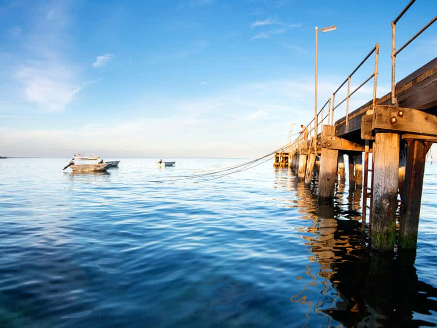 Kangaroo Island: Half-Day Tour Guided Coach Tour - Price and logistics: is $123 good value for what you get?