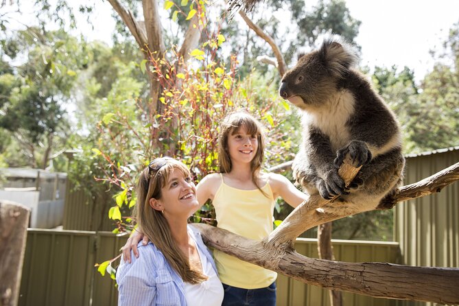 Kangaroo Island in a Day Tour from Adelaide - Cape du Couedic Lighthouse Area: Scenic Coast Break