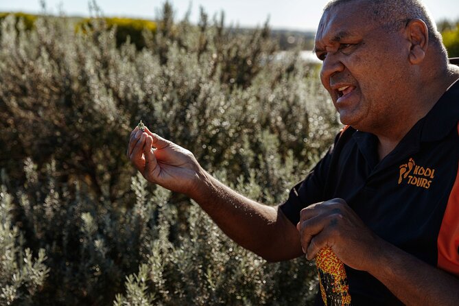 Kangaroo Island Indigenous Tour (1 Day) - Key things that make this tour worth a spot