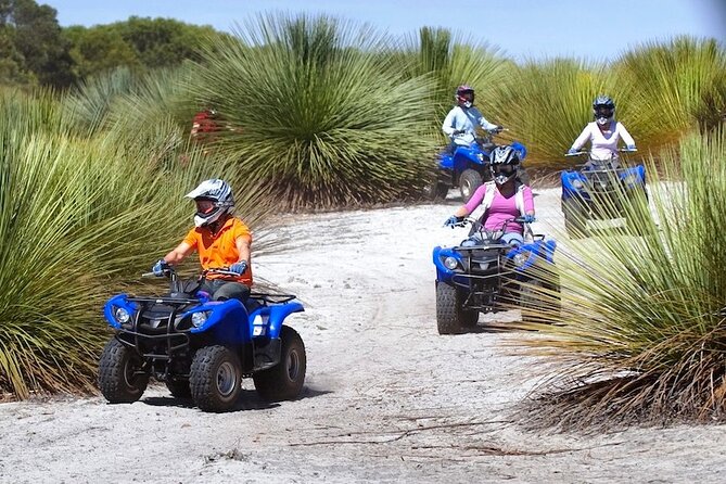 Kangaroo Island Quad Bike (ATV) Tours - Choosing your itinerary: beaches, viewpoints, and tough gravel options