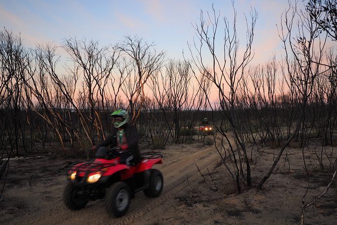 Kangaroo Island Quad Bike (ATV) Tours - What it costs and whether $141.30 is good value