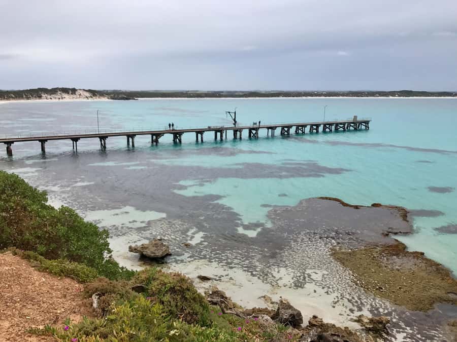 Kangaroo Island: Scenic, Nature & Wildlife Tour - Seal Bay: the sea lion colony stop that sets the tone