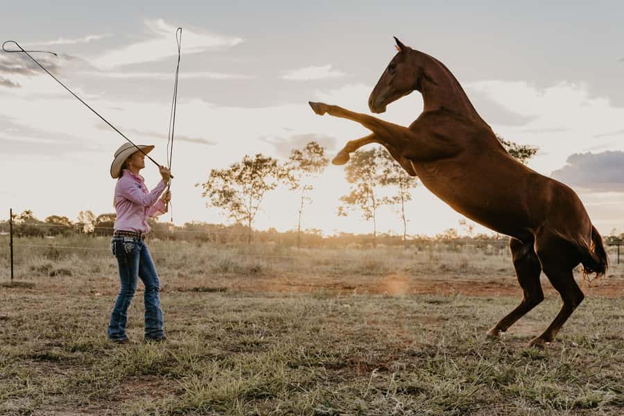Katherine: Authentic Outback Show and Live Music - Indoor Arena Comfort: Horse Starting and Liberty Demonstrations