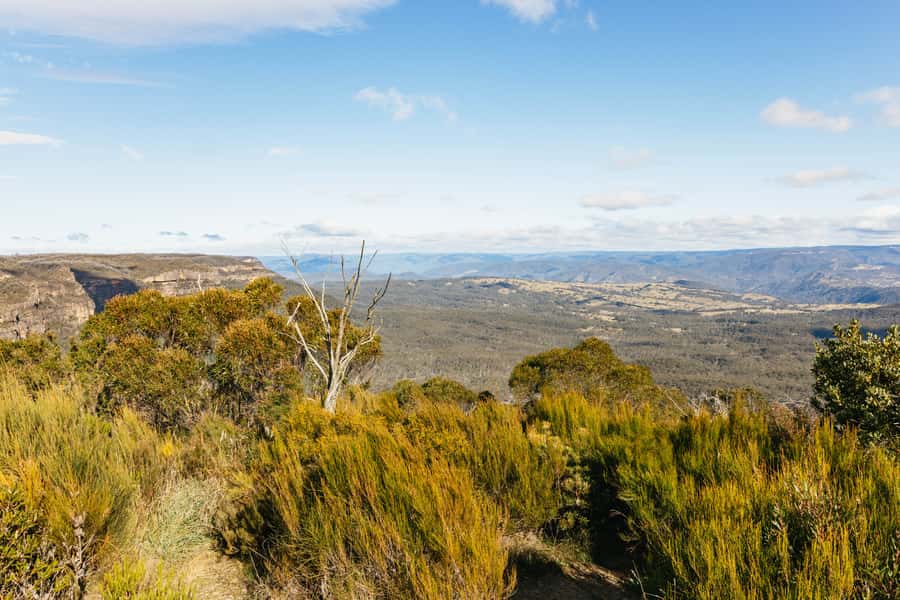 Katoomba: Lyrebird Hop-On Hop-Off and Scenic World Pass - Why this HOHO plus Scenic World combo works in Katoomba