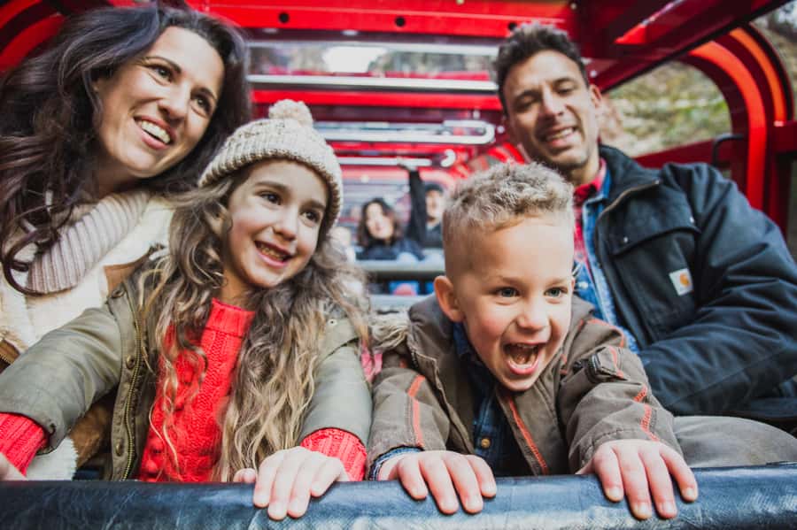 Katoomba: Scenic World 1-Day Unlimited Discovery Pass - Key Things You’ll Notice Right Away