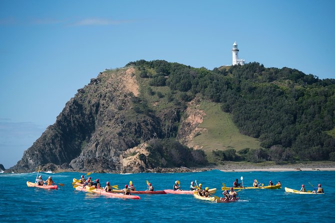 Kayaking with Dolphins in Byron Bay Guided Tour - Why Cape Byron Marine Park feels made for dolphin kayaks