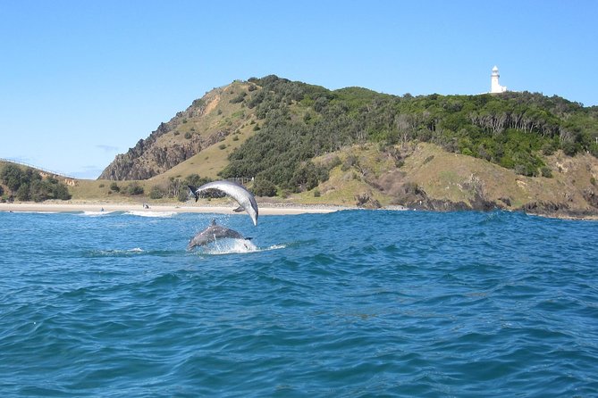 Kayaking with Dolphins in Byron Bay Guided Tour - Meeting at Cape Byron Kayaks and picking your departure time