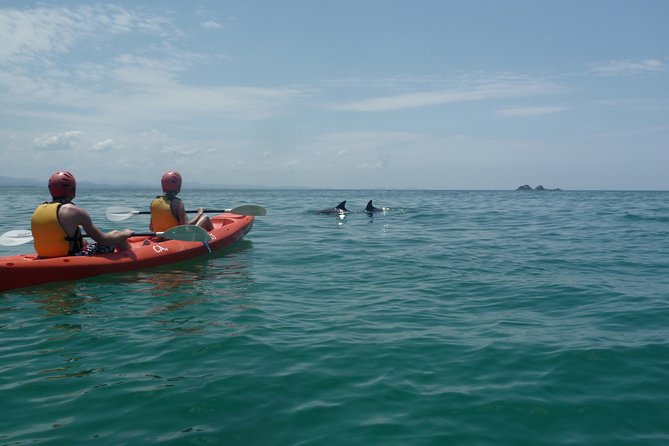 Kayaking with Dolphins in Byron Bay Guided Tour - Safety briefing and gear, the real backbone of the day