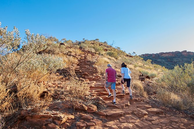 Kings Canyon Day Trip from Ayers Rock (Uluru) - Price and value at about $247.45 per person