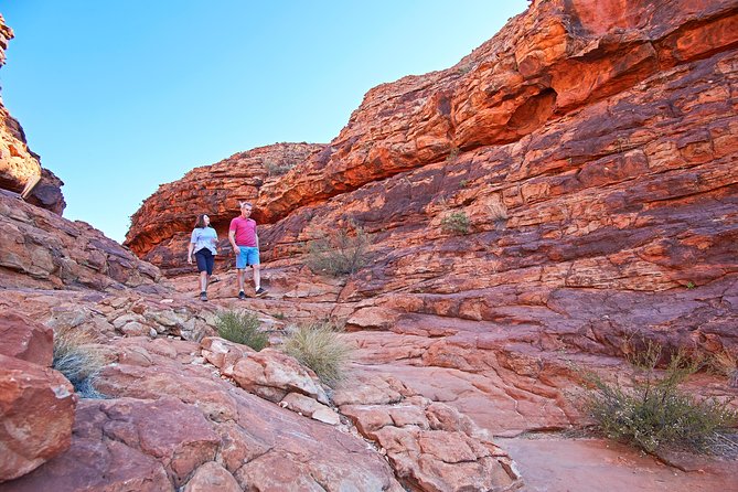 Kings Canyon Day Trip from Ayers Rock (Uluru) - Two hikes inside Kings Canyon: Rim Walk challenge vs Creek Bed stroll
