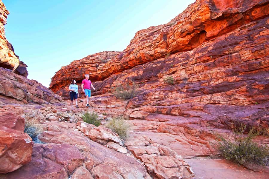 Kings Canyon: Full-Day Tour from Ayers Rock Resort - Early pickup, long drive, and a coach that actually helps