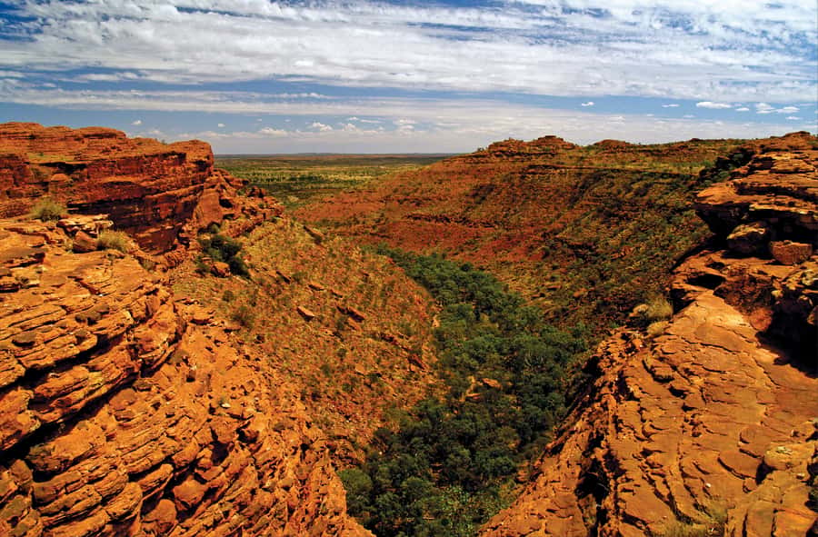 Kings Canyon: Full-Day Tour from Ayers Rock Resort - Choosing between Rim Walk and Creek Bed Walk