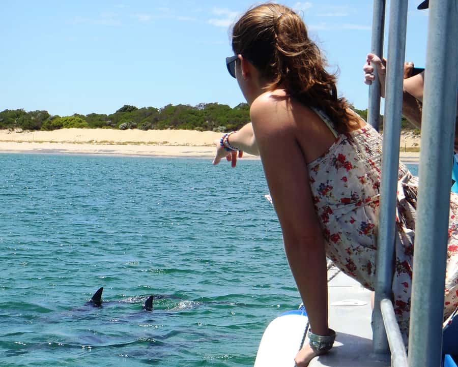 Koombana Bay: Dolphin Eco Cruise - The value question: is $46 per person worth it?