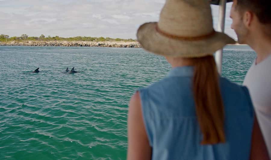Koombana Bay: Dolphin Eco Cruise - Who this cruise is best for