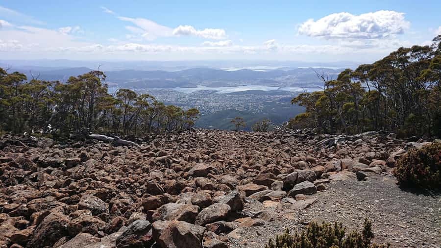 Kunanyi & Mt Wellington Explorer Bus: One-Way Bus Pass - Price and value: why $24 can be a smart use of your time