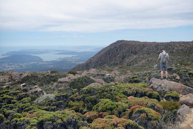 kunanyi/Mt Wellington Explorer Bus- Return Tour (2.5 hours) - Quick hits before you go