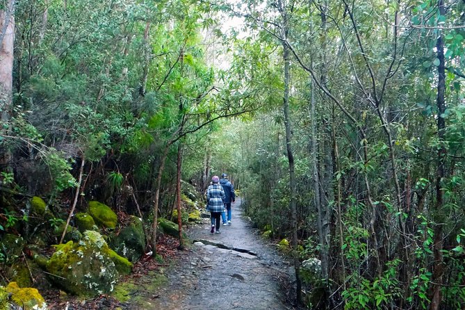 kunanyi/Mt Wellington Explorer Bus- Return Tour (2.5 hours) - Stop options on the way: how to choose your hop-off plan