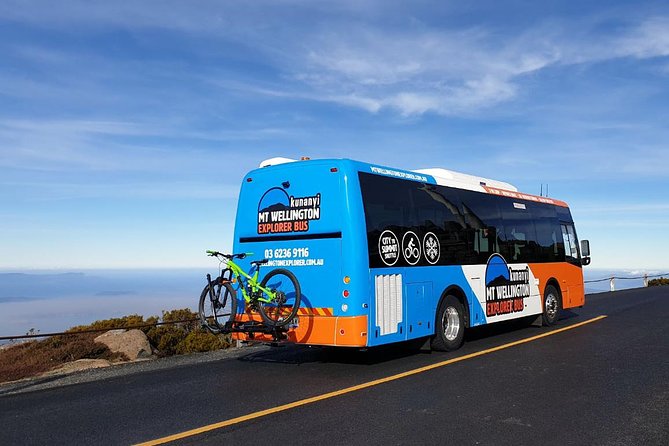 kunanyi/Mt Wellington Explorer Bus- Return Tour (2.5 hours) - Fern Tree Park: a shaded break with toilets and walk starts