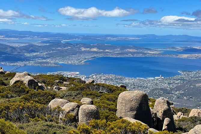kunanyi/Mt Wellington Explorer Bus- Return Tour (2.5 hours) - The Springs: picnic comfort plus trail starts