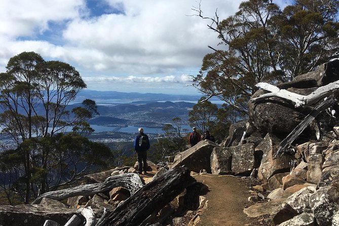 kunanyi/Mt Wellington Explorer Bus- Return Tour (2.5 hours) - Mount Wellington summit: 30 minutes for the wow factor