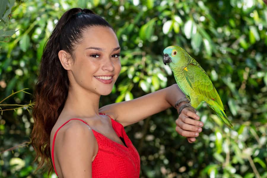 Kuranda: Birdworld Entry Ticket - Key things to know before you go