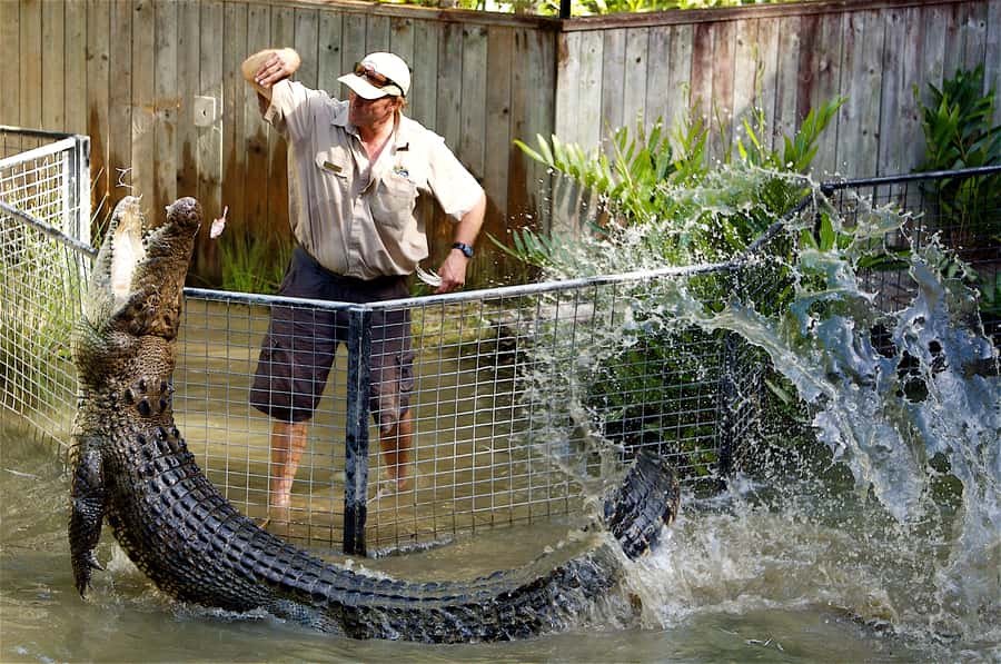 Kuranda & Hartley's Crocodile Adventures - Kuranda and Hartley’s in one day, the smart purpose-built combo
