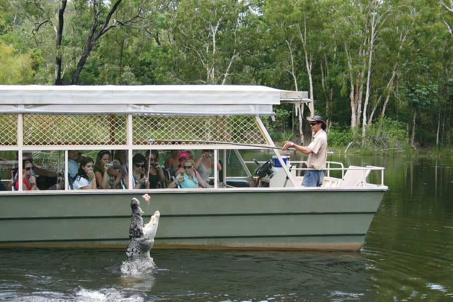 Kuranda & Hartley's Crocodile Adventures - The Kuranda Scenic Rail one-way ride: views, tunnels, and allocated seats