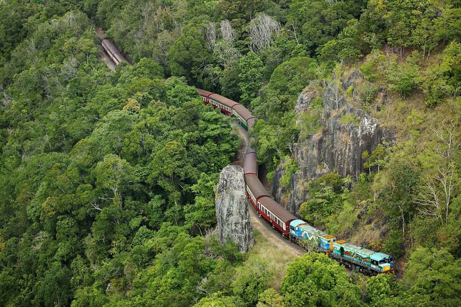 Kuranda & Hartley's Crocodile Adventures - Skyrail Rainforest Cableway to Caravonica Lakes: a slower feel with planned stops